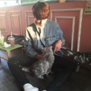 男生qq帅气头像