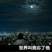 八月精选文字头像大全