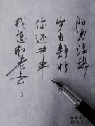漂亮的手写文字图片