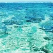 唯美的海水清新头像