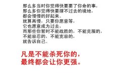 最新的文字图片