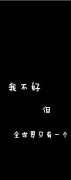 _黑白配简约的文字皮肤