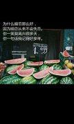 个性文字清新的图片