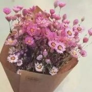 唯美的清新雏菊花头像