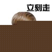 ֵ¹ϸͷ