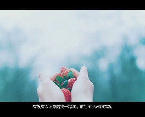 文字的最新个性qq图片
