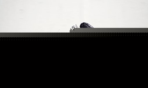 ŷͼƬ