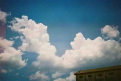 动漫里清纯的简约图片