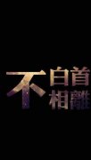 简单的最新个性文字皮肤
