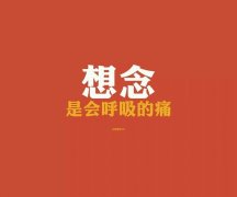 伤感的清新简约文字皮肤