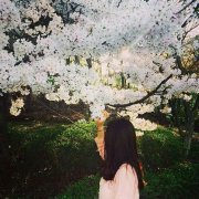 qq唯美漂亮的女生皮肤
