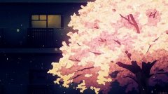 动漫里唯美的樱花图片