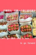 伤感个性的文字唯美图片