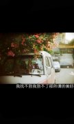 文字安静的个性皮肤