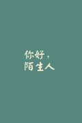 清新的带字简约皮肤