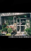 小清新的文字简约图片