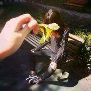 qq情侣甜蜜的可爱头像