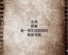 关于青春的文字简约图片