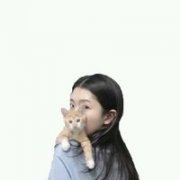 简单的清新qq头像