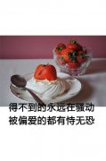 文字简约的图片清新