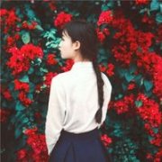 qq复古的漂亮头像