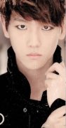 EXO12名现任成员皮肤