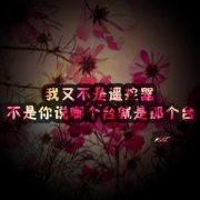 文字唯美的清新图片
