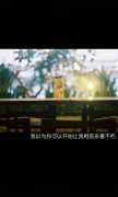 意境的qq文字清新皮肤