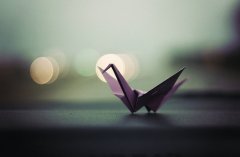 ˵˵ഺһͨ