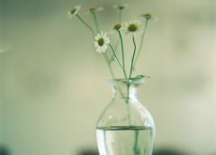 QQ˵˵2015Ʒǽе