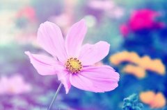 QQ¸˵˵ֻĲ
