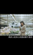 意境的伤感文字皮肤