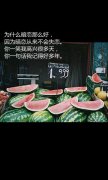 有感觉的清新文字皮肤
