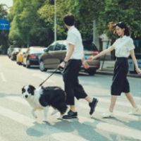 qq情侣个性的简单头像