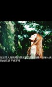 意境带字的个性qq皮肤