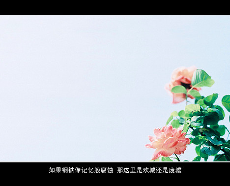仰望天空,还是找不到属于自己的方向.