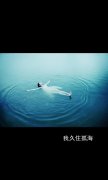 文字意境的qq最新皮肤