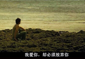 如果以后你会不经意地想起我,请别忘记我曾那样深深地爱过你