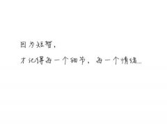 最新的白底文字图片