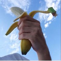 qqŷŮͷ