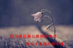最新伤感的简约文字图片
