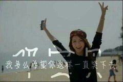 紫棋帯字的意境皮肤