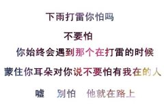 白底我爱你文字皮肤
