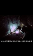 好看的简约清新带字图片