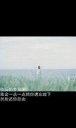 意境简约的清新文字皮肤