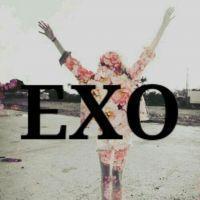 EXOֵĸͷ