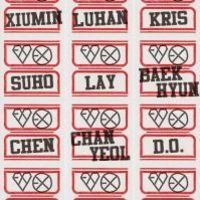 EXOֵĸͷ