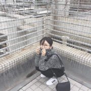 清新的可爱qq女生个性皮肤