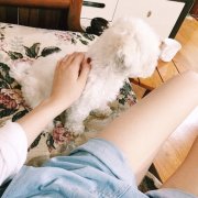 女生最新的个性qq皮肤