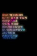 清新文字简约的皮肤